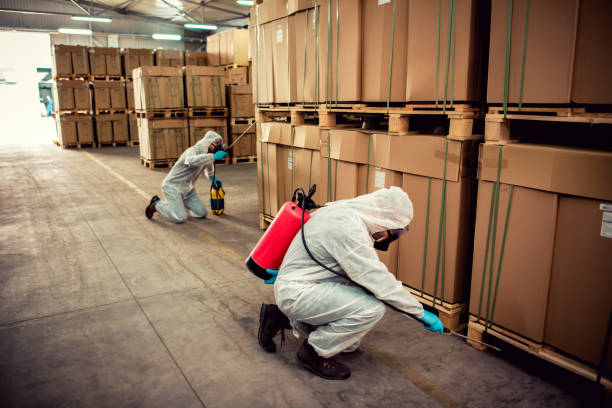 Best Emergency Pest Control  in Silver Lake, FL