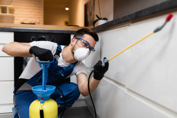 Best Termite Control Services  in Silver Lake, FL