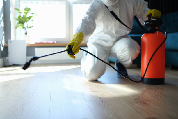 Best Local Pest Control Services  in Silver Lake, FL