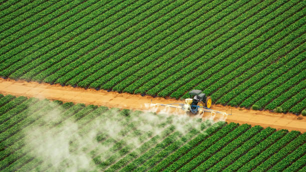 Best Mosquito Control Services  in Silver Lake, FL