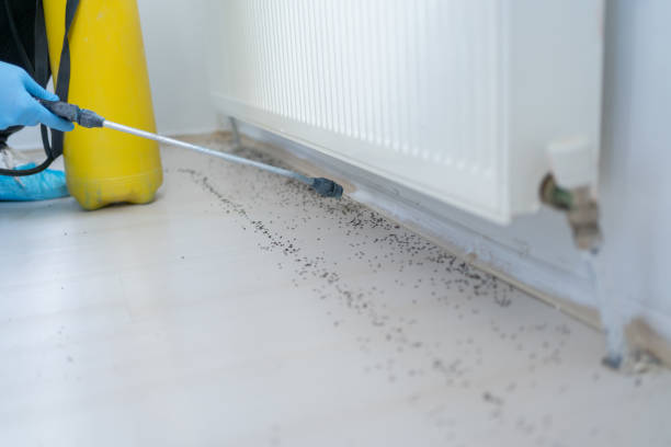 Best Residential Pest Control  in Silver Lake, FL