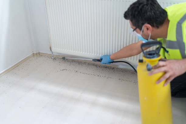 Best Pest Prevention Services  in Silver Lake, FL