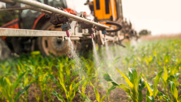Best Commercial Pest Control Services  in Silver Lake, FL