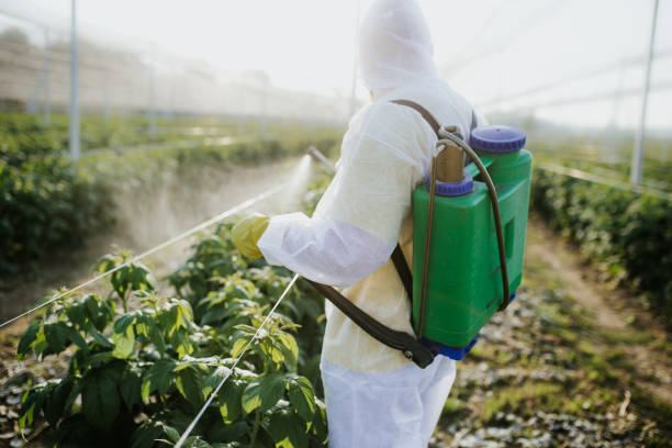 Best Pest Control Near Me  in Silver Lake, FL